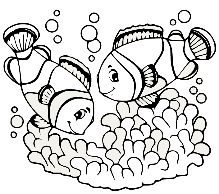Dos peces payaso y coral de pez payaso