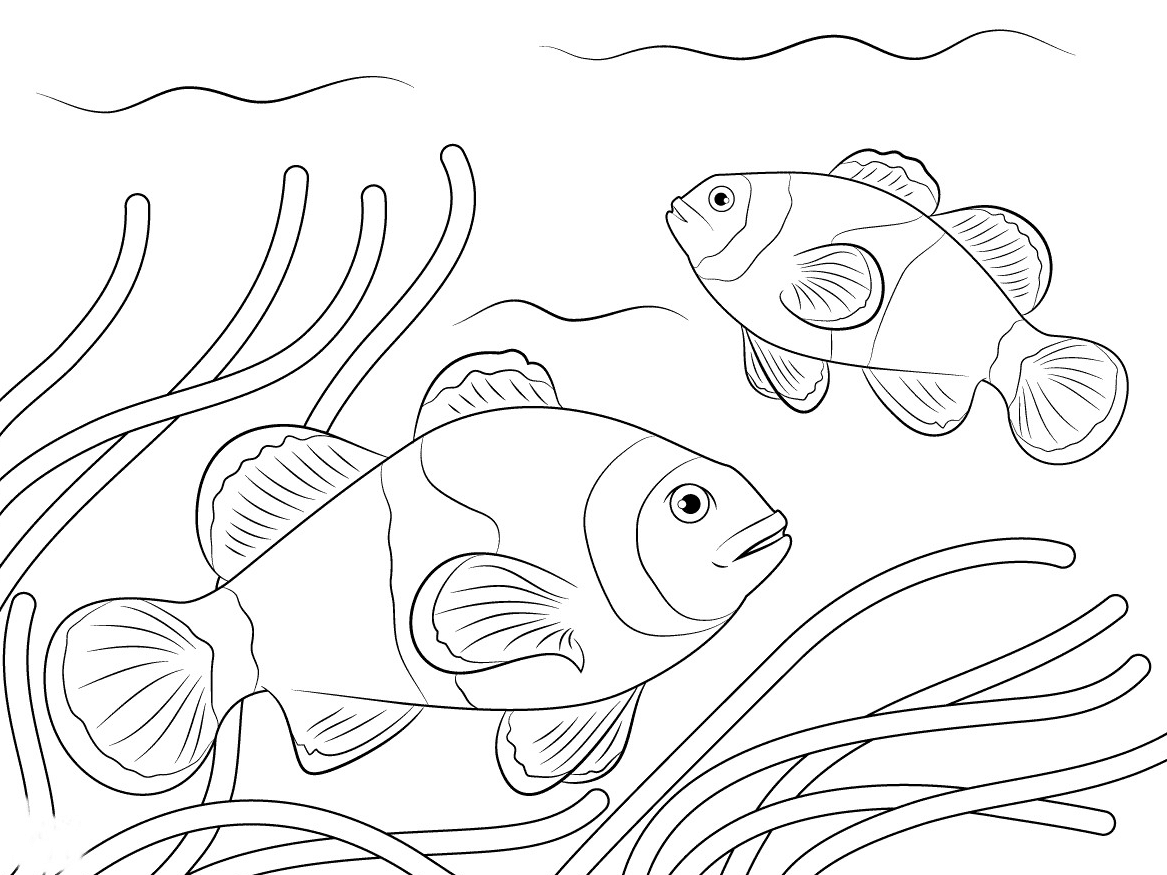 Dos peces payaso para niños de Clownfish
