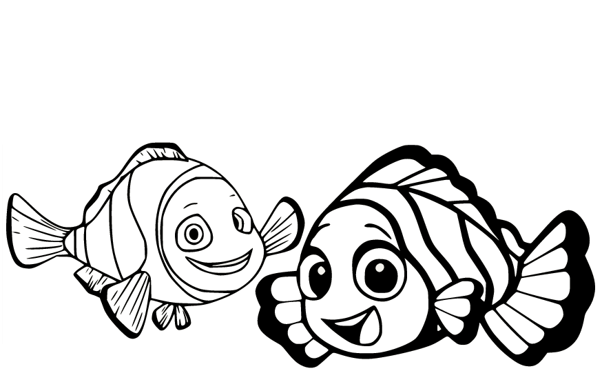 小丑鱼中的两条小丑鱼