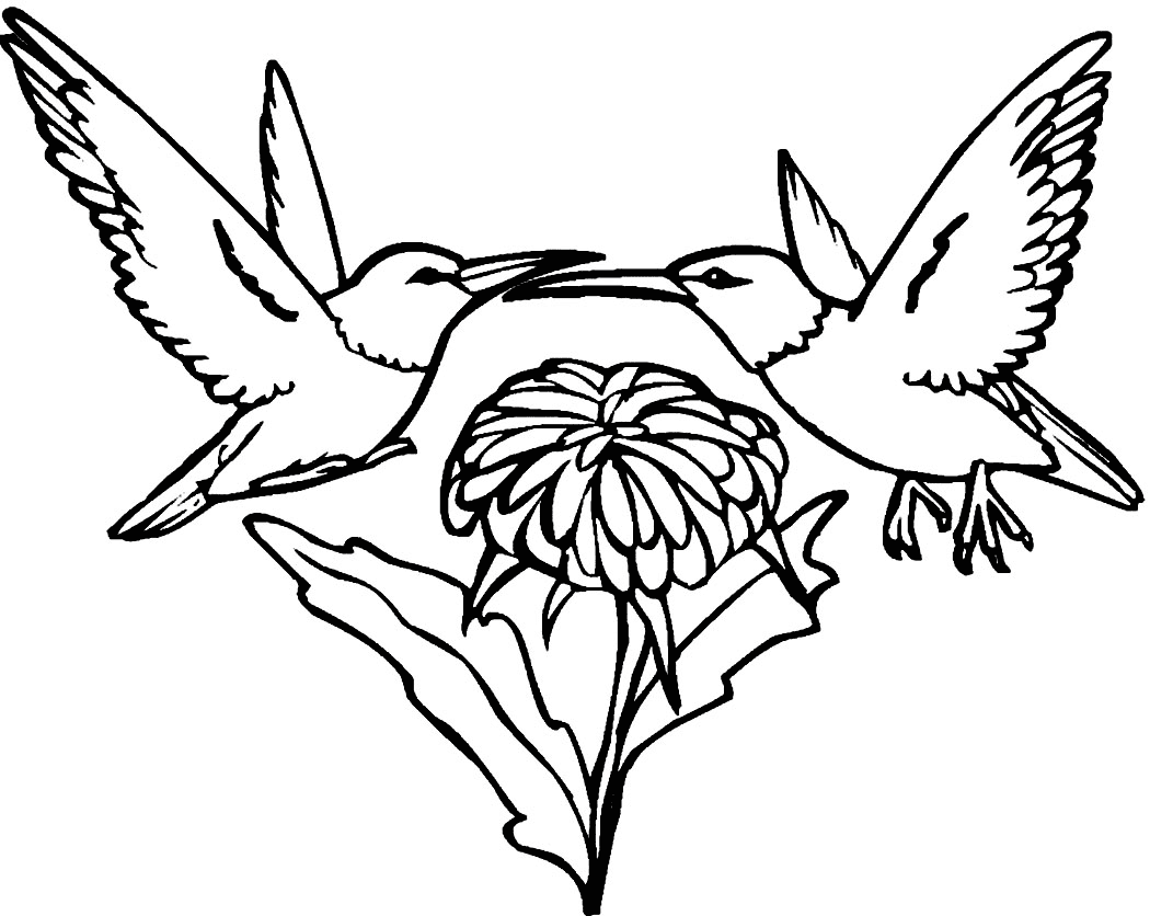 Two Hummingbirds And Flower Coloring Page