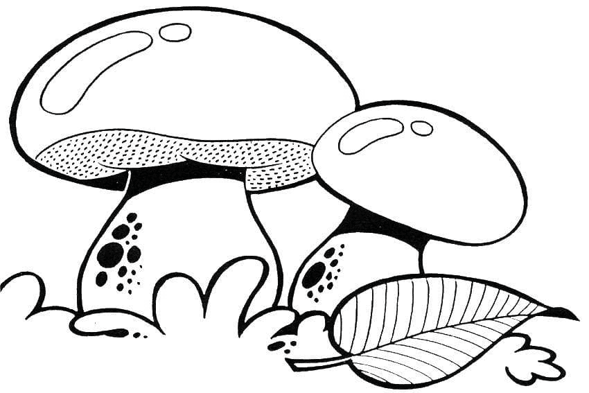 Coloriage à imprimer de deux champignons