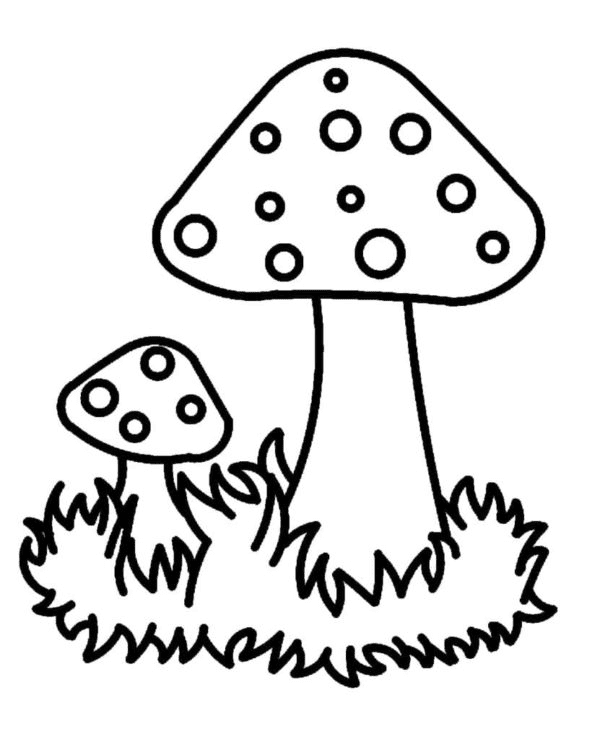Coloriage de deux champignons