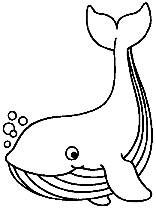 Walvis voor kleuterschool van Walvis