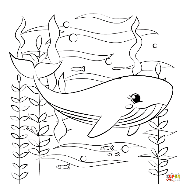Whale Free Coloring Pages