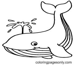 Disegni da colorare di balene