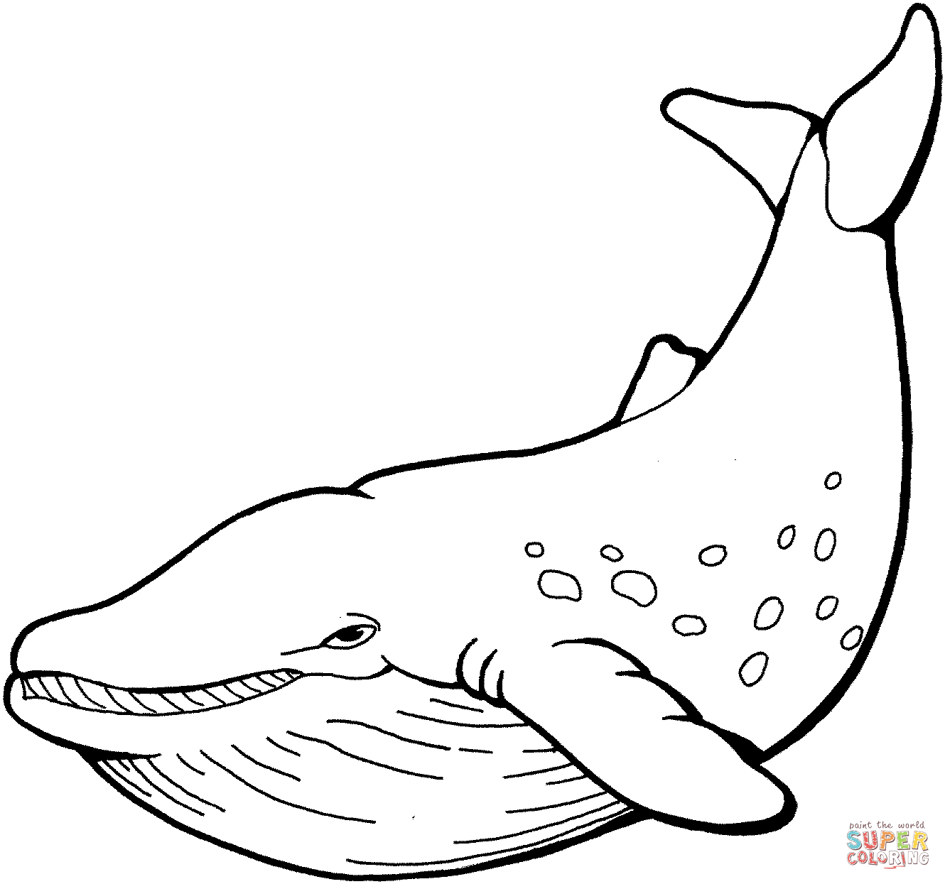 Whale to Print Coloring Page