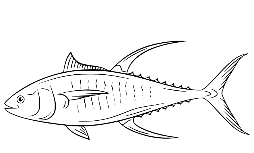 Yellowfin Tuna Fish Coloring Pages