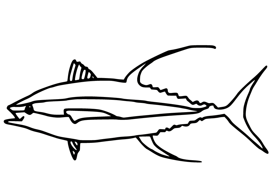 Gelbflossen-Thunfisch für Kinder von Tuna