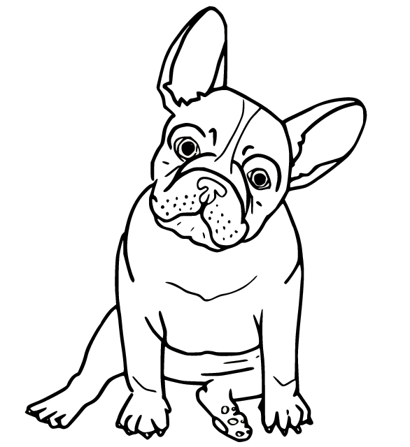 Bulldog Coloring Pages Free Printable Coloring Pages