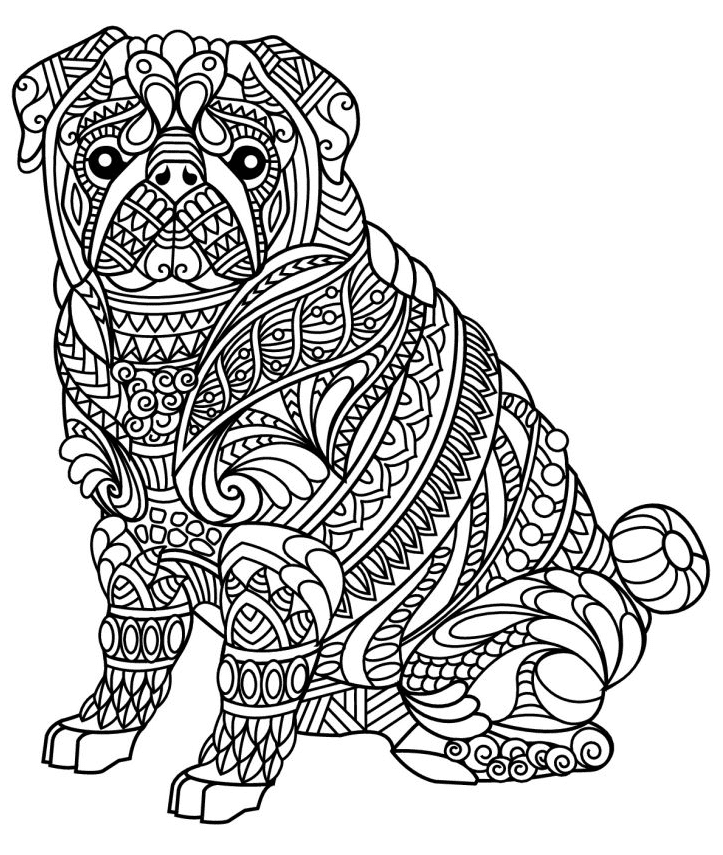 Zen Bulldog Coloring Page