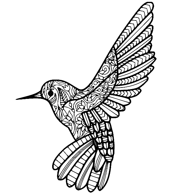 Zentangle Hummingbird Coloring Page