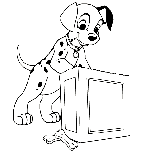 Dalmatian Found a Box Coloring Pages