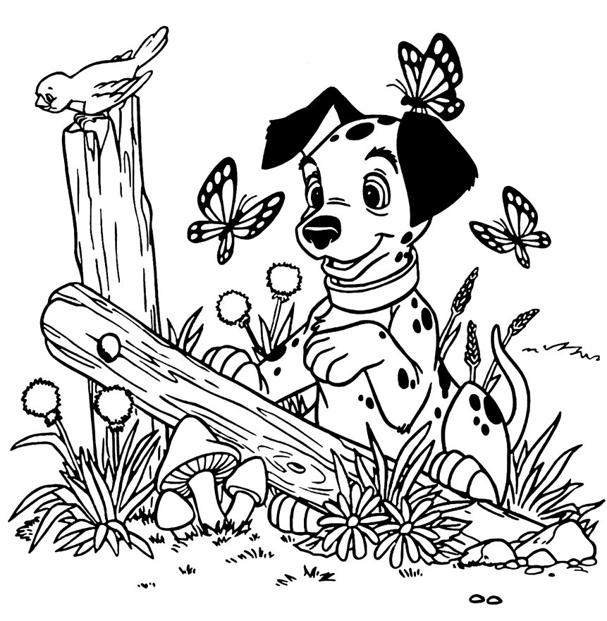 Dalmatian Plays With Butterfly Coloring Page