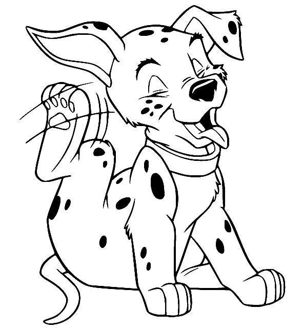 Dalmatian Scratching Coloring Page