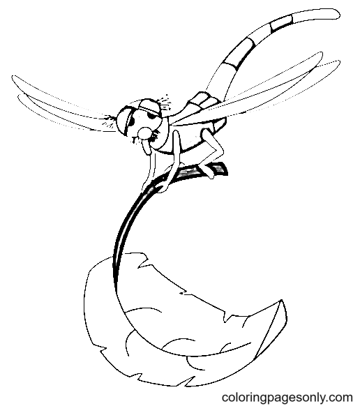 Evinrude from The Rescuers Coloring Page
