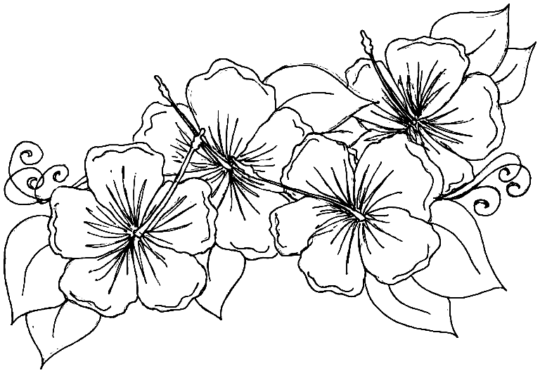 May Coloring Pages - Coloring Pages For Kids And Adults