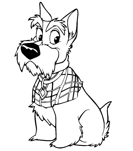 Jock Terrier dans les vêtements de La Belle et le Clochard