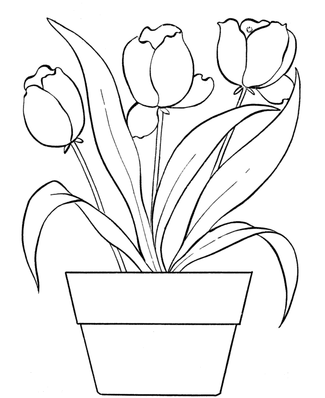 May Tulips Coloring Page