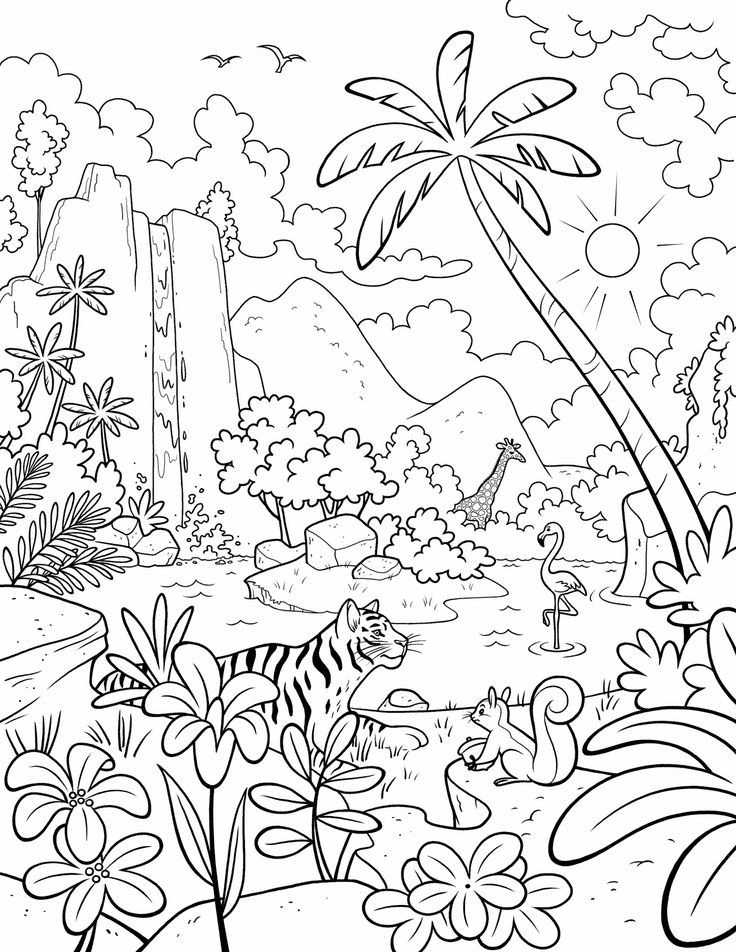 Primary Coloring Page