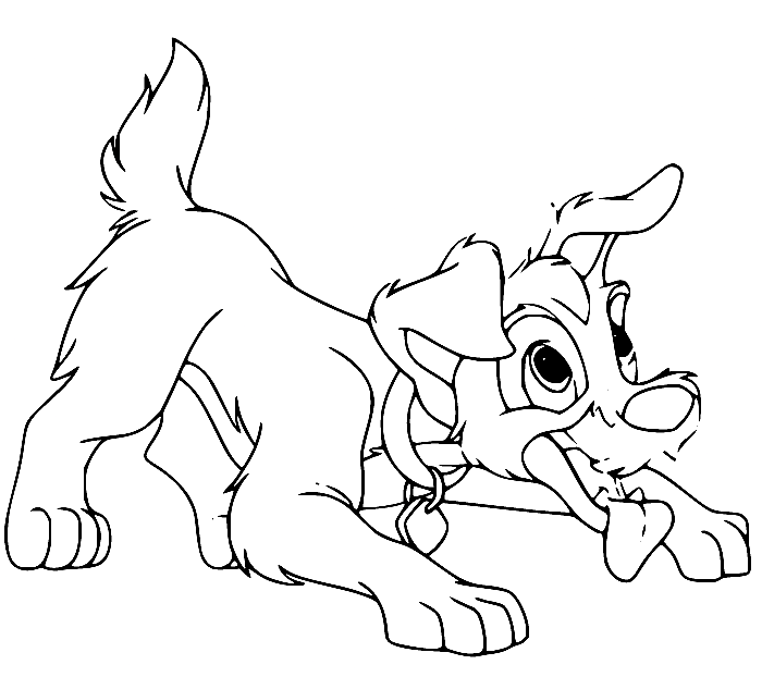 Scamp Barking Coloring Page