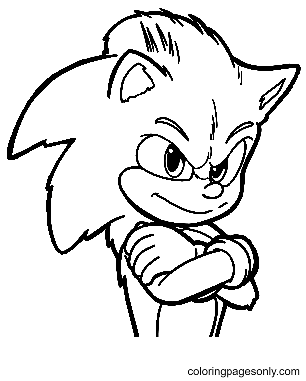 Sonic the Hedgehog coloring page - Drawing 1  Hedgehog colors, Mermaid  coloring pages, Super mario coloring pages