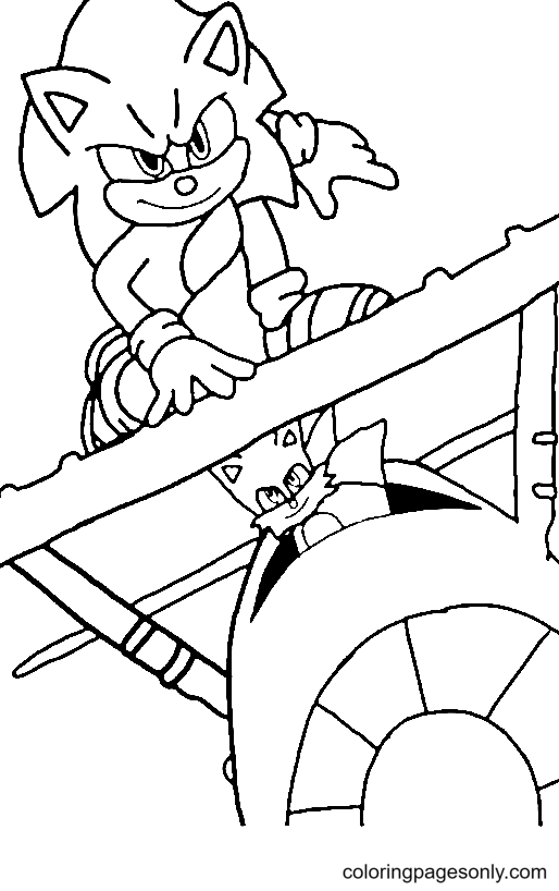 Sonic the Hedgehog 2 – Sonic mit Schwänzen aus Sonic the Hedgehog 2