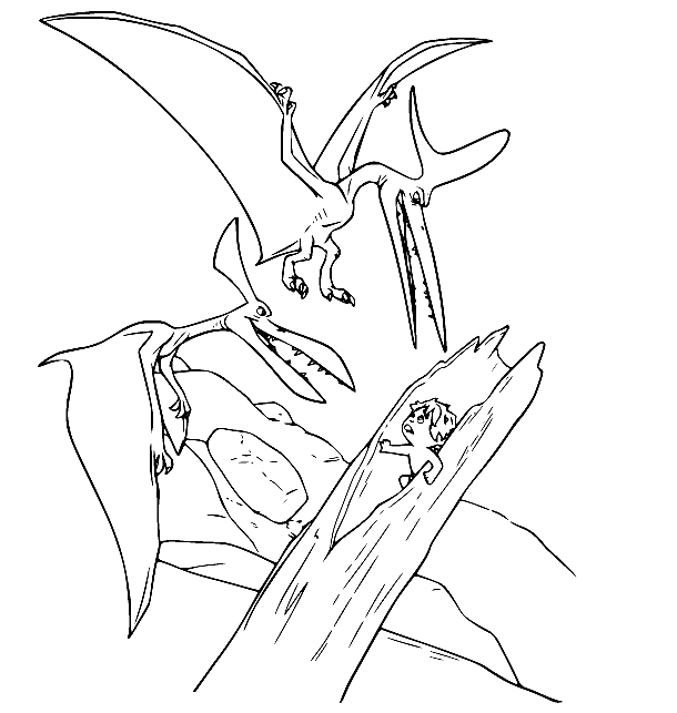 Two Pterodactyls Found Spot Coloring Page