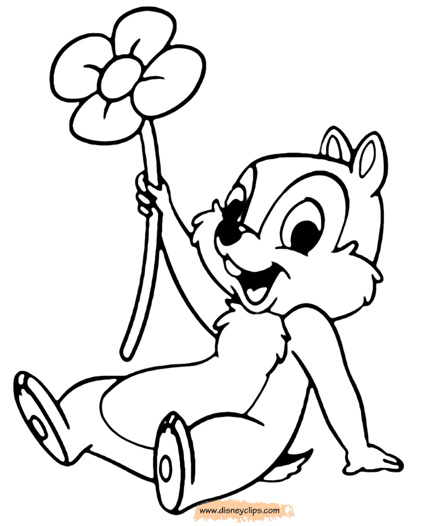 Чип держит цветок из мультфильма "Чип и Дейл спешат на помощь"