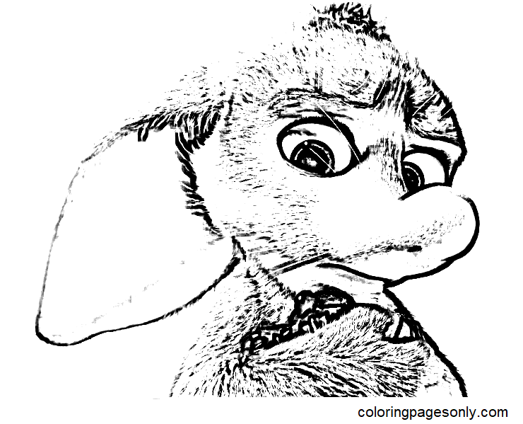Free Printable Bilby Coloring Pages