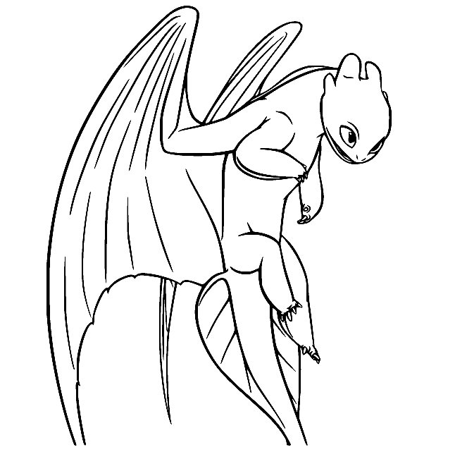 Night Fury Flying Coloring Page