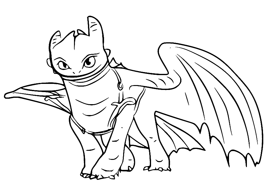 Toothless Night Fury Coloring Page