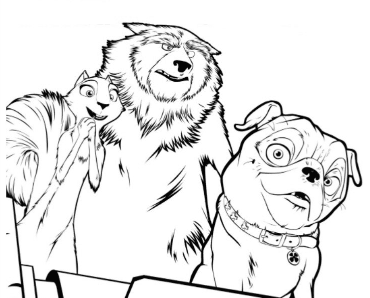 Andie, Raccoon and Precious Coloring Page