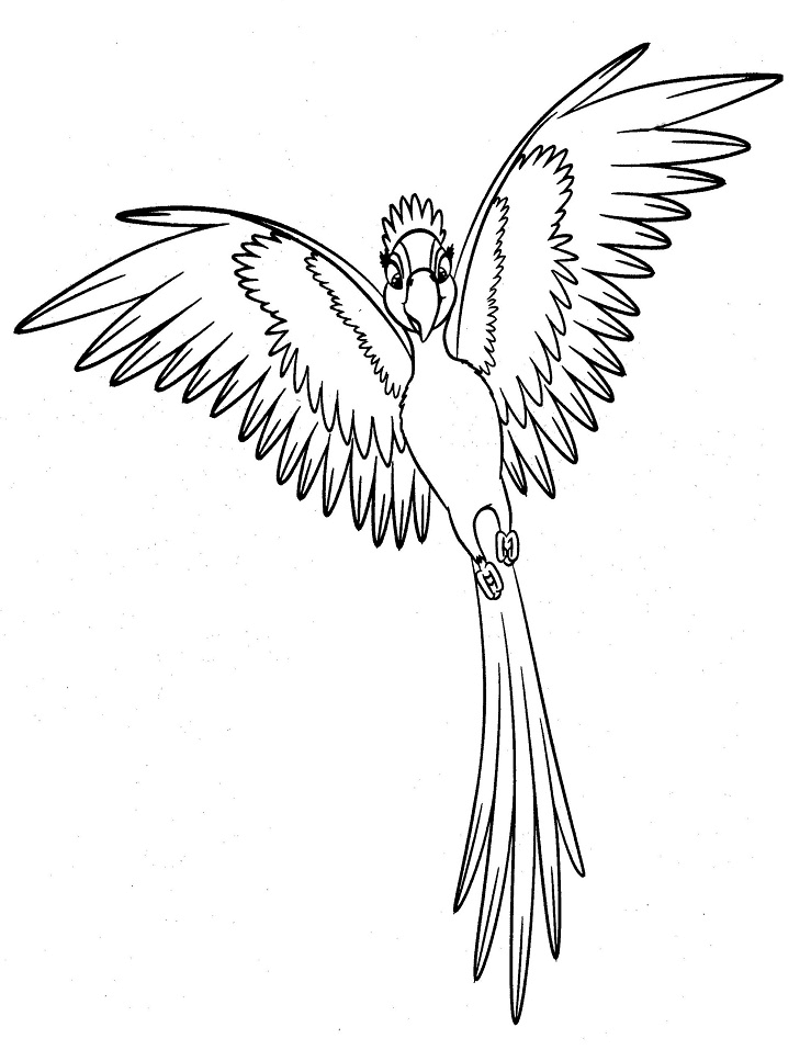 Jewel Flying Coloring Page