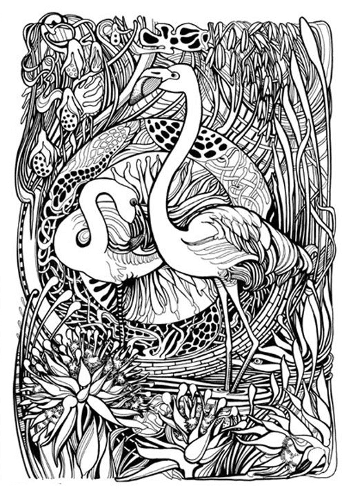 Psychedelic Flamingos Coloring Pages