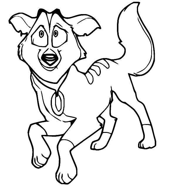 Star Husky Coloring Pages