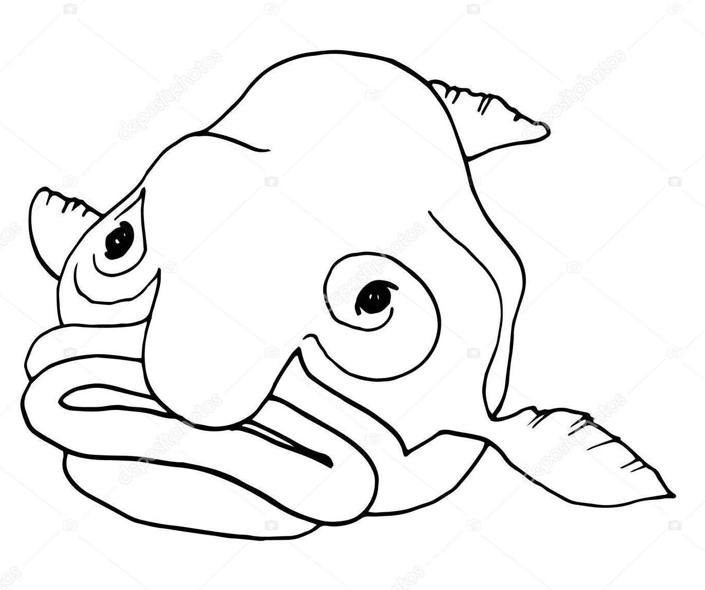 Ein Blobfish von Blobfish