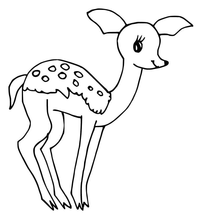 A Cute Fawn Coloring Pages