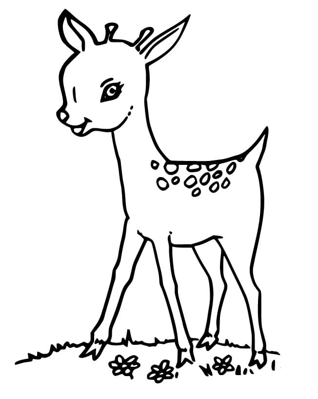 Adorable Fawn Coloring Page