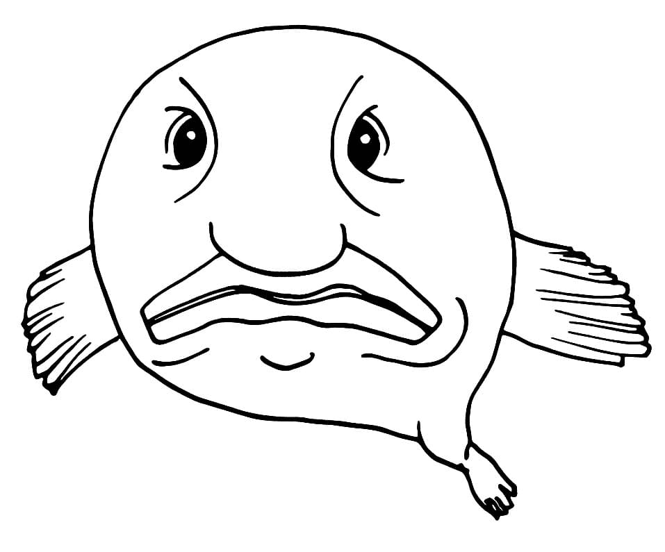 Blobfish en colère de Blobfish