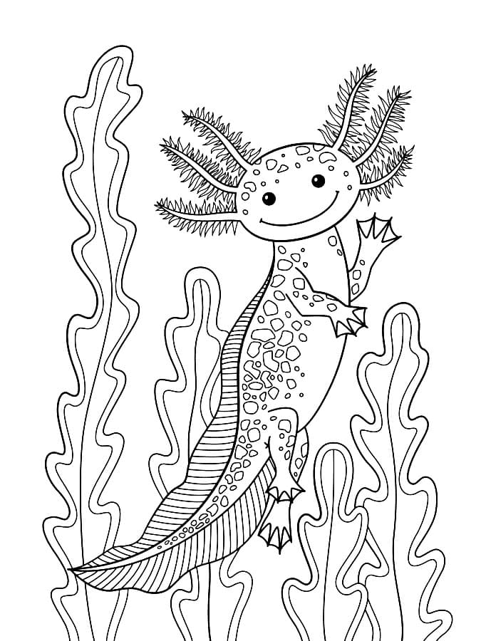 Axolotl souriant d'Axolotl