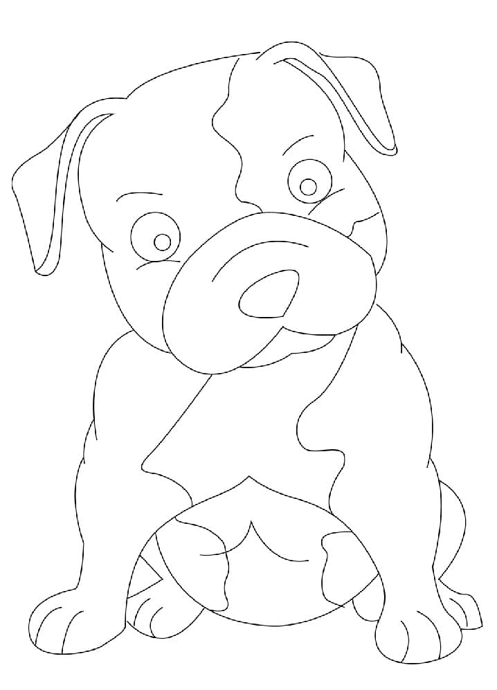 Baby-Pitbull-Hund von Pitbull