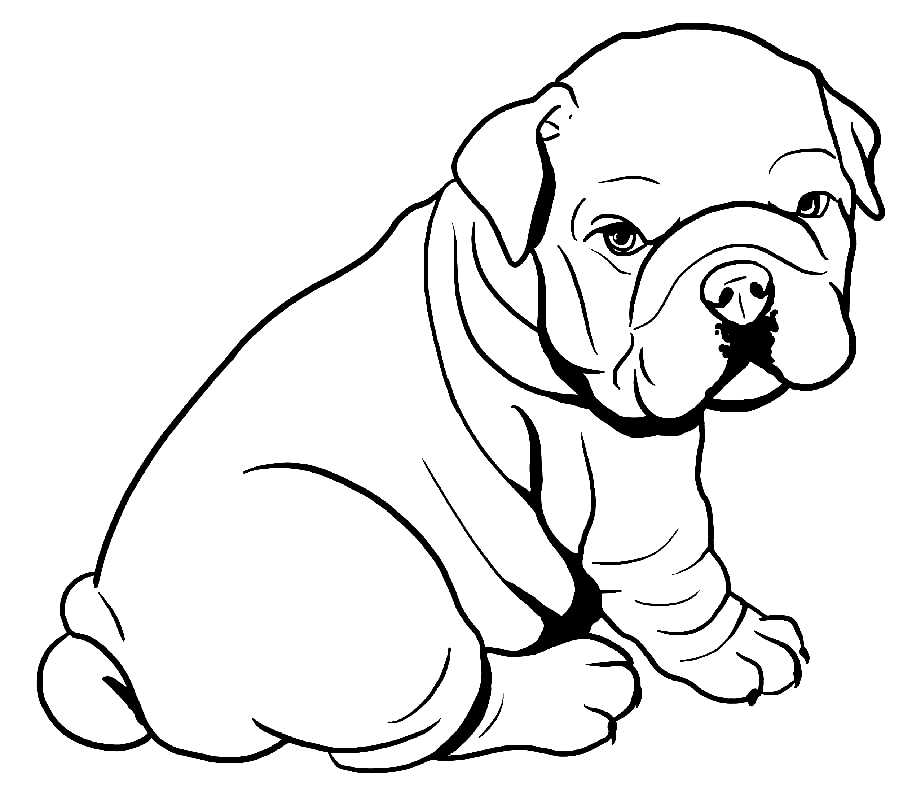 Baby Pitbull Coloring Page