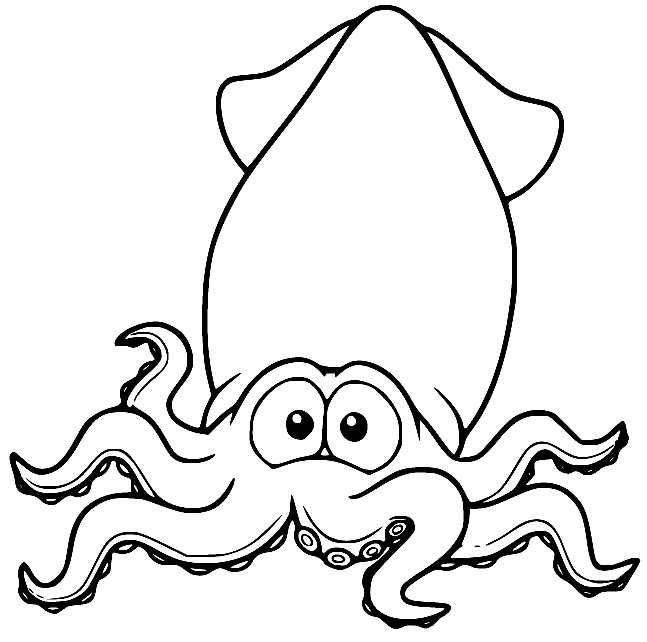 Bigfin Reef Squid Coloring Page