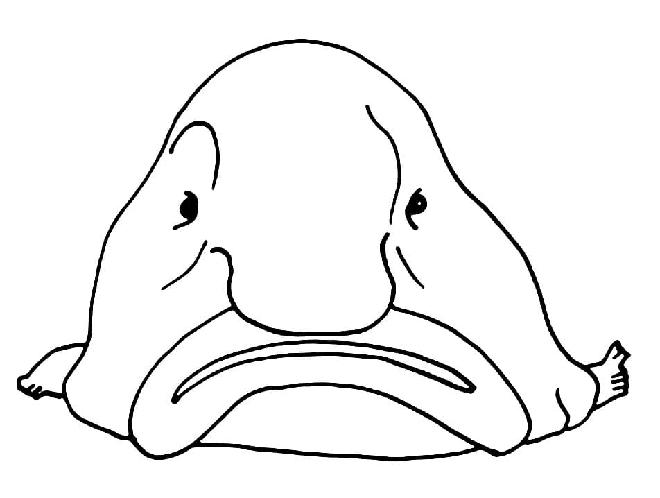 Blobfish Free Coloring Pages