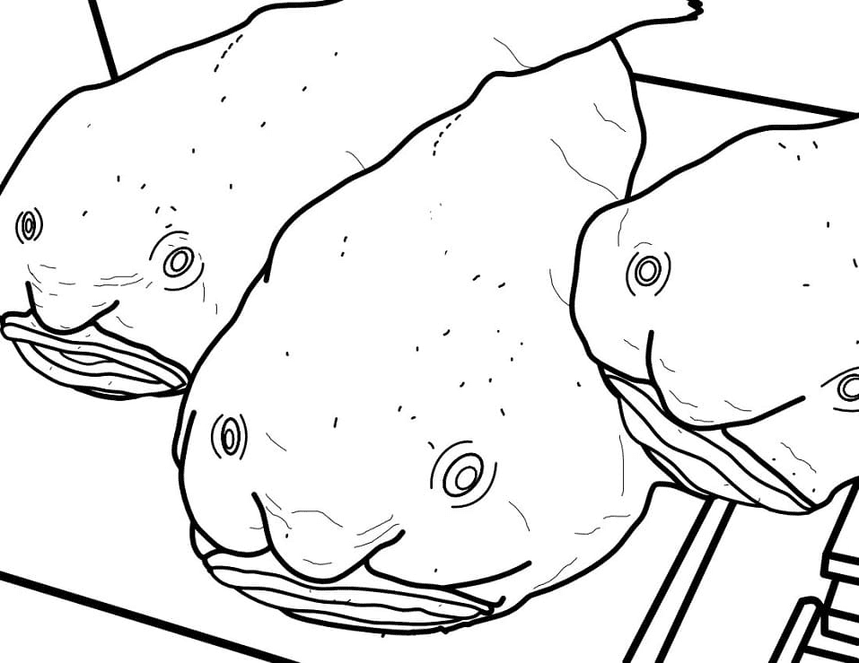 Blobfishes Coloring Page
