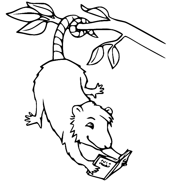 Cartoon Possum Reading a Book Coloring Page