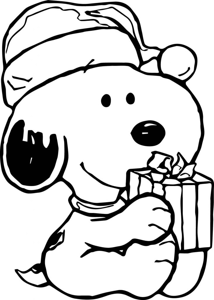 Charlie Brown Christmas Snoopys Cadeau van Charlie Brown Christmas