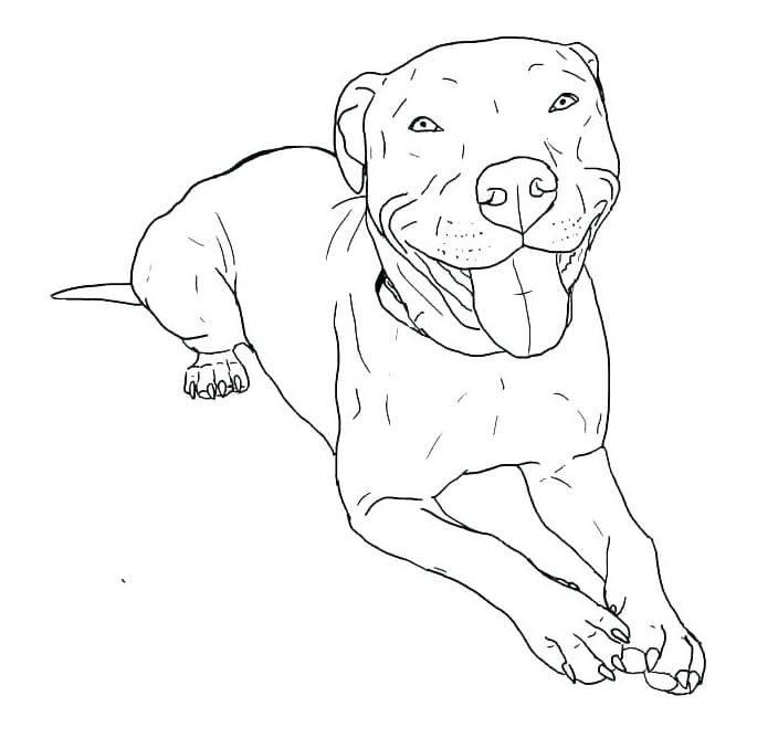 Cheerful Pitbull Coloring Page