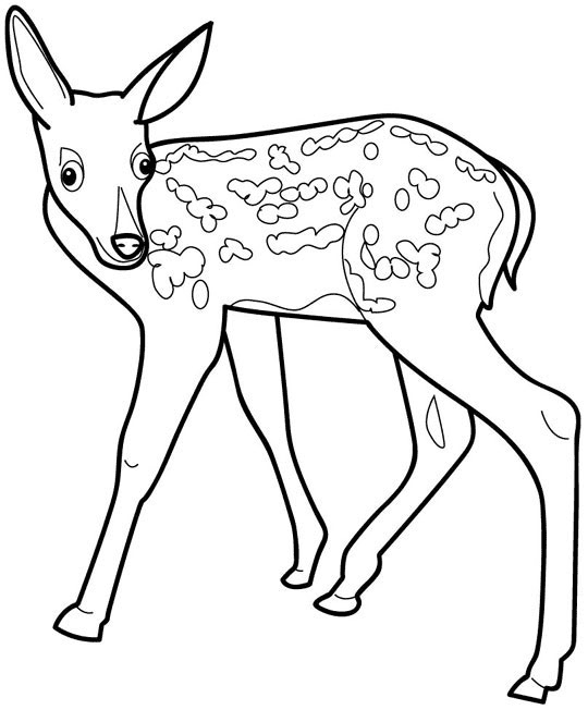 Crazy Fawn Coloring Pages
