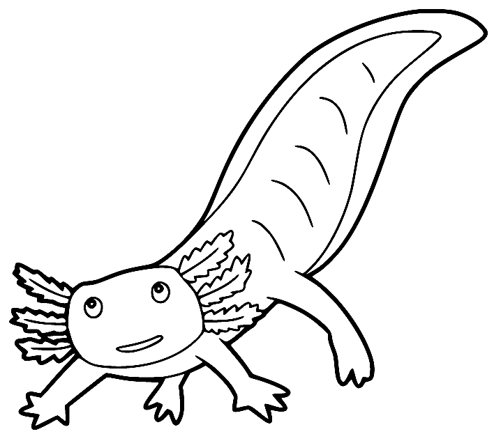 Leuke Axolotl Kleurplaat